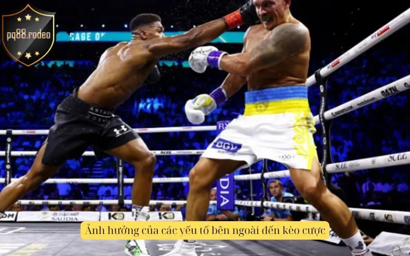 Ảnh hưởng của các yếu tố bên ngoài đến kèo cược