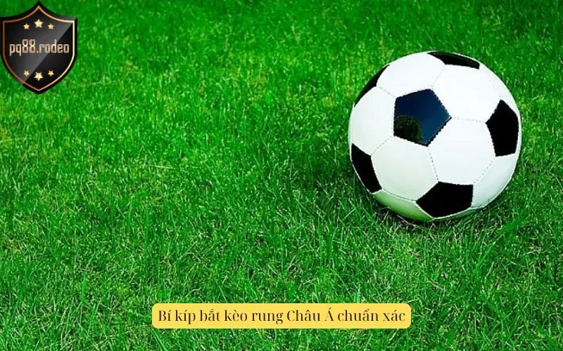 Bí kíp bắt kèo rung Châu Á chuẩn xác