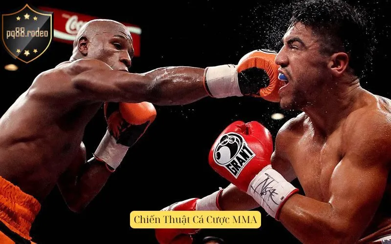 Chiến Thuật Cá Cược MMA