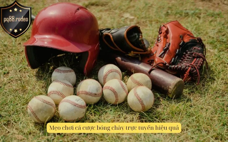 Mẹo chơi cá cược bóng chày trực tuyến hiệu quả