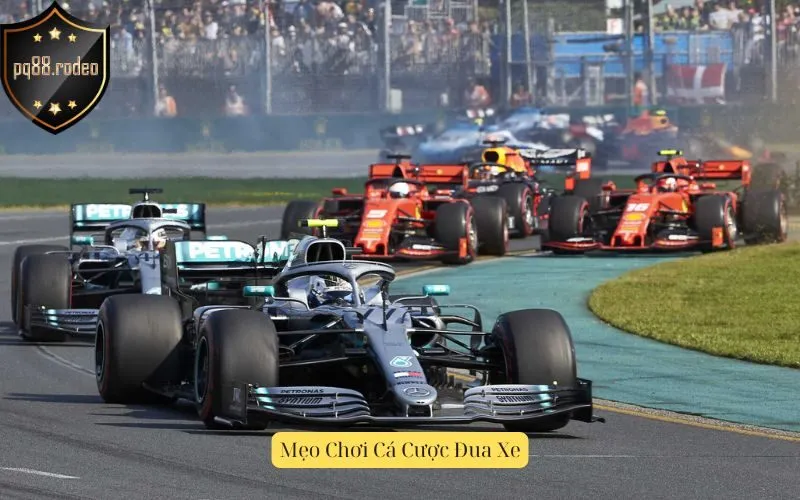 Mẹo Chơi Cá Cược Đua Xe