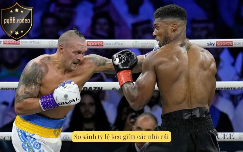 So sánh tỷ lệ kèo giữa các nhà cái